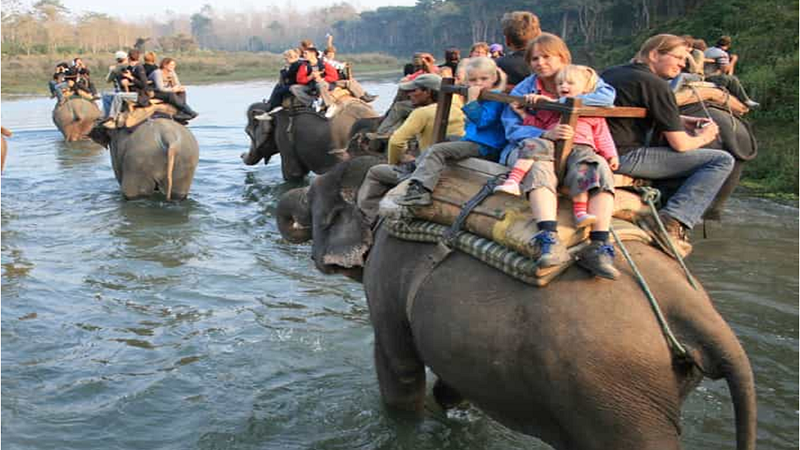 Chitwan Wonders