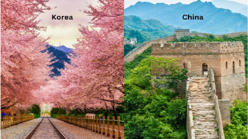 Korea Tour vs China Tour