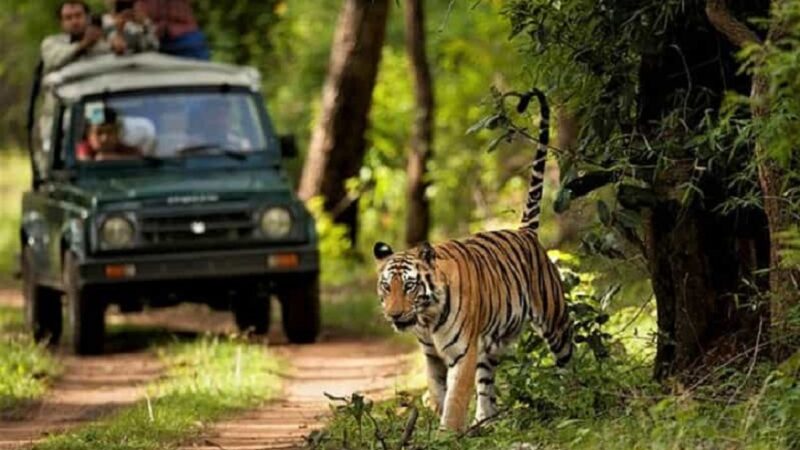 chitwan tour package