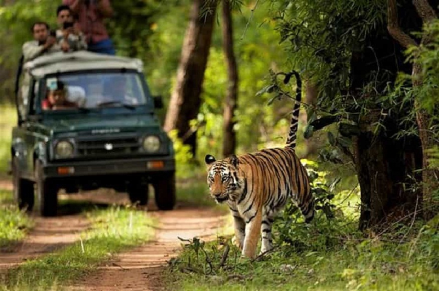 The Best of Chitwan Tour Package